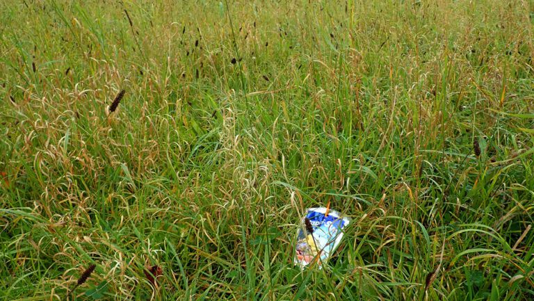 Eine Trinkverpackung liegt im Gras