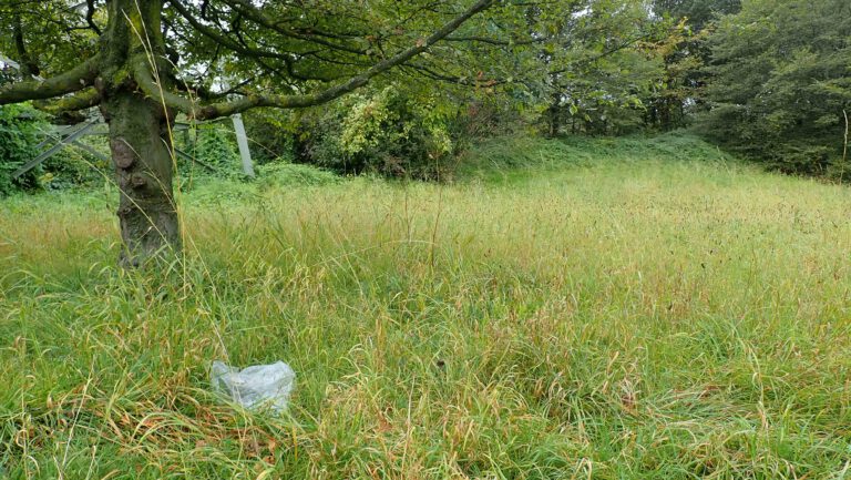 Natur ohne Verpackung