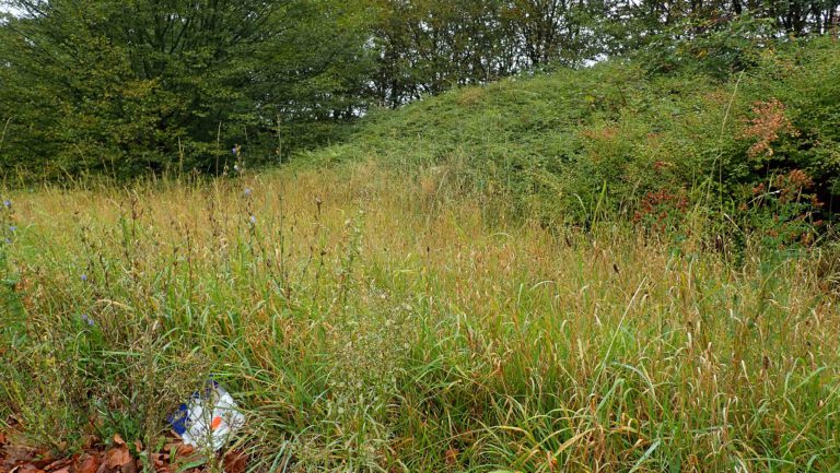 Natur ohne Verpackung