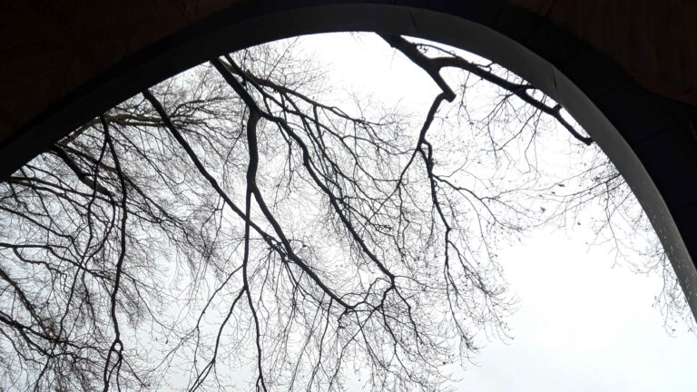 Ein dunkles Halbrund vor einem Winterhimmel mit kahlen Ästen.